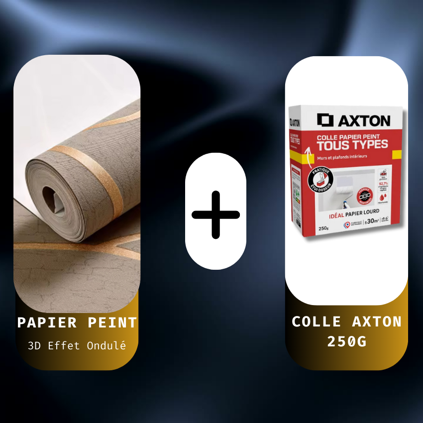 Pack Papier Peint + Colle AXTON 250g