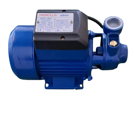 Moteur pour Surpresseur QB60 – 0.5 HP (370 W) – Débit 1500 L/h