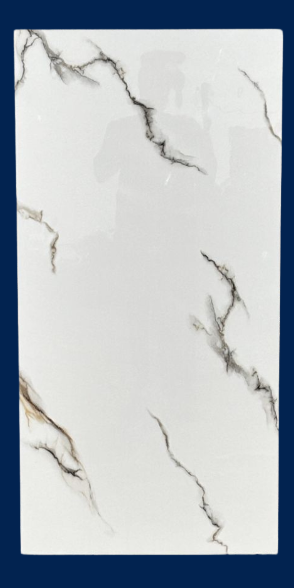 Carreau EDEN SATVARIO 60x120