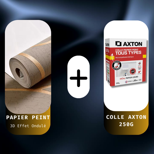 Pack Papier Peint + Colle AXTON 250g
