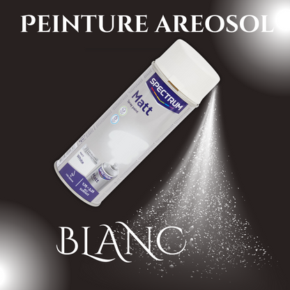 Peinture Aérosol Spectrum - Séchage Rapide & Faible Odeur