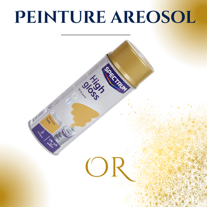 Peinture Aérosol Spectrum - Séchage Rapide & Faible Odeur
